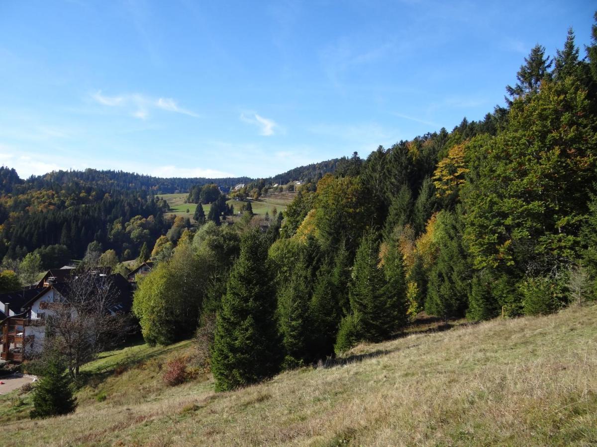 Apartments Amalia - Mit Wlan Und Sky In Traumhafter Lage Todtmoos Exteriör bild