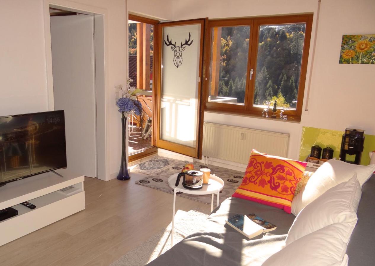 Apartments Amalia - Mit Wlan Und Sky In Traumhafter Lage Todtmoos Rum bild