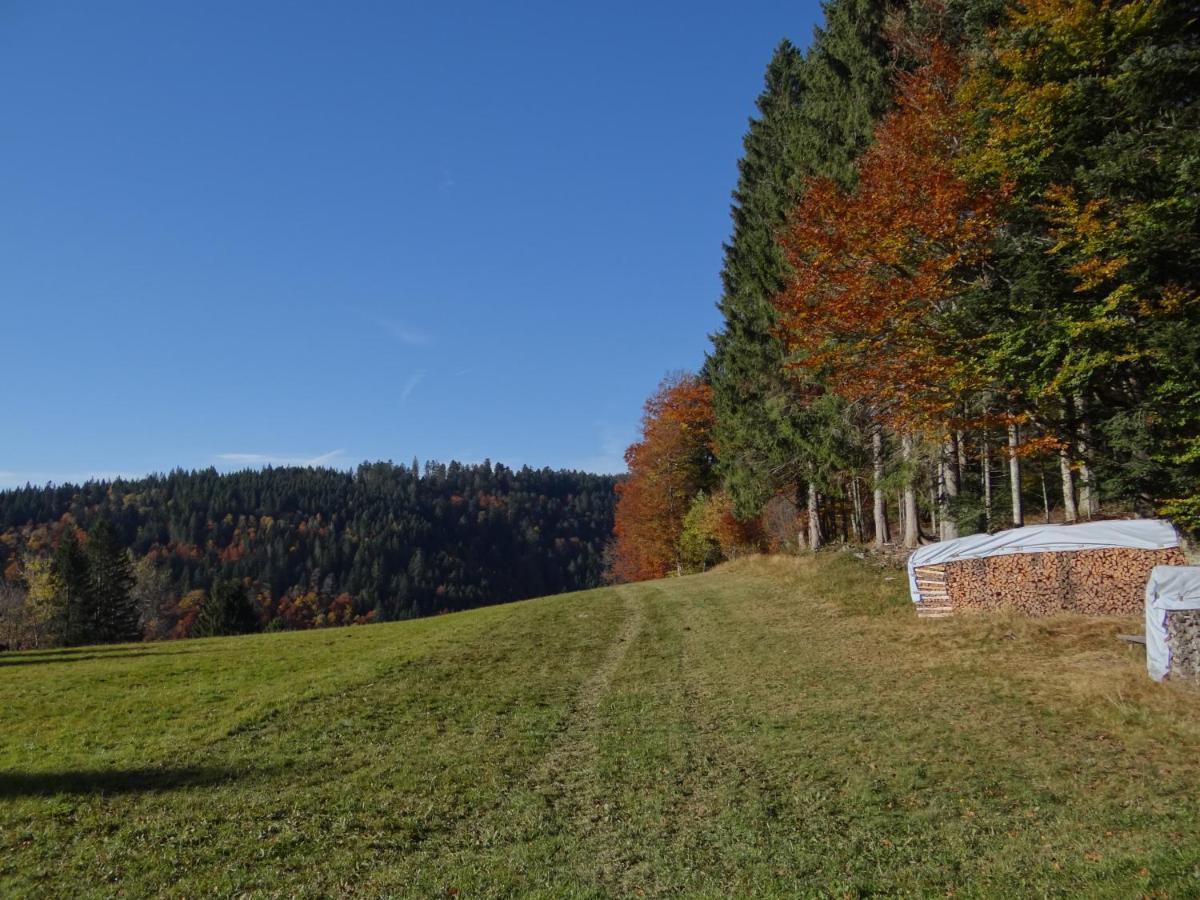 Apartments Amalia - Mit Wlan Und Sky In Traumhafter Lage Todtmoos Exteriör bild