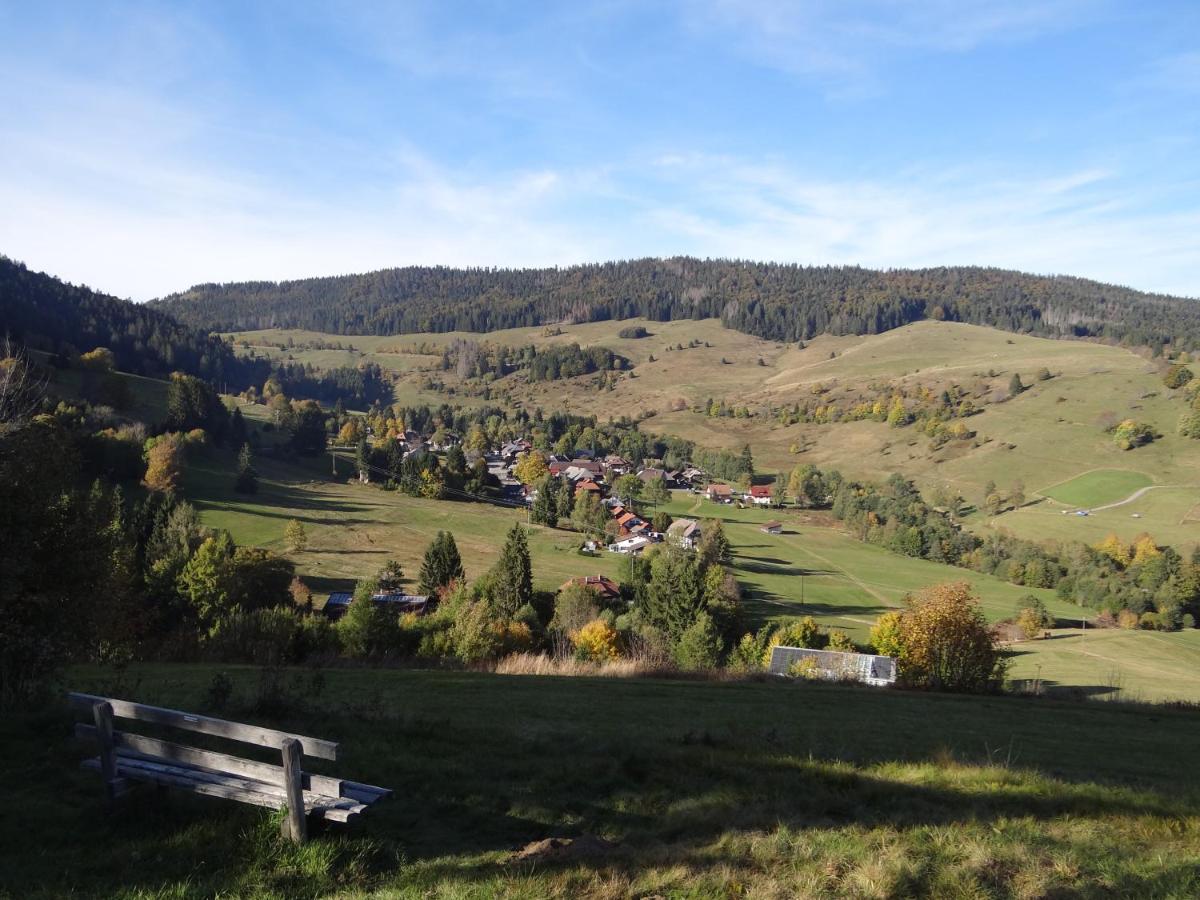 Apartments Amalia - Mit Wlan Und Sky In Traumhafter Lage Todtmoos Exteriör bild