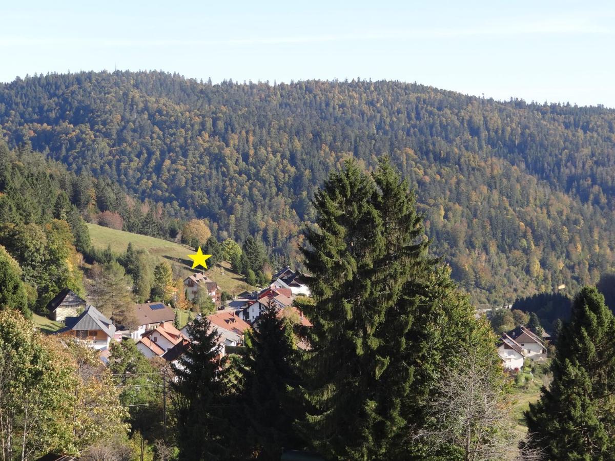 Apartments Amalia - Mit Wlan Und Sky In Traumhafter Lage Todtmoos Exteriör bild