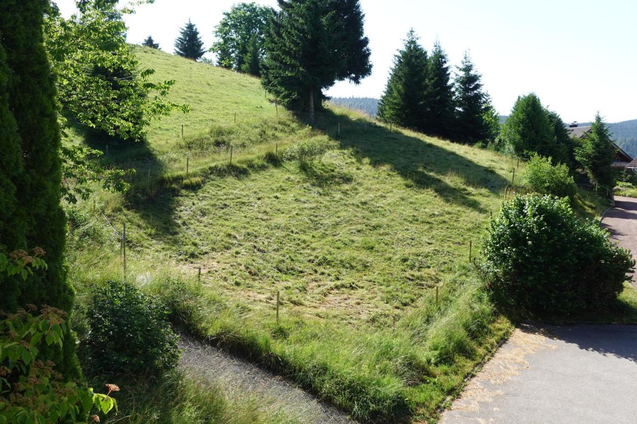 Apartments Amalia - Mit Wlan Und Sky In Traumhafter Lage Todtmoos Exteriör bild