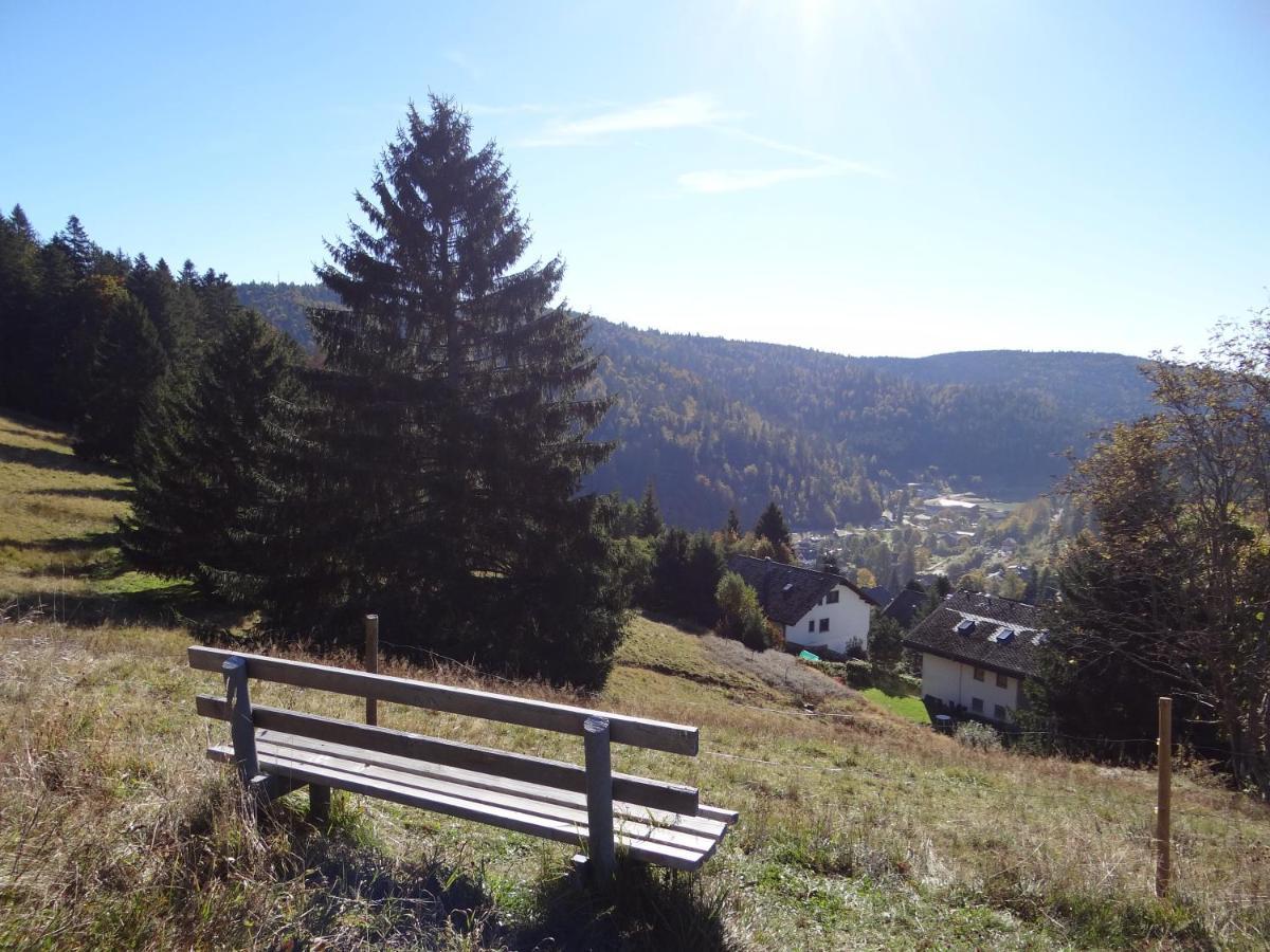 Apartments Amalia - Mit Wlan Und Sky In Traumhafter Lage Todtmoos Exteriör bild