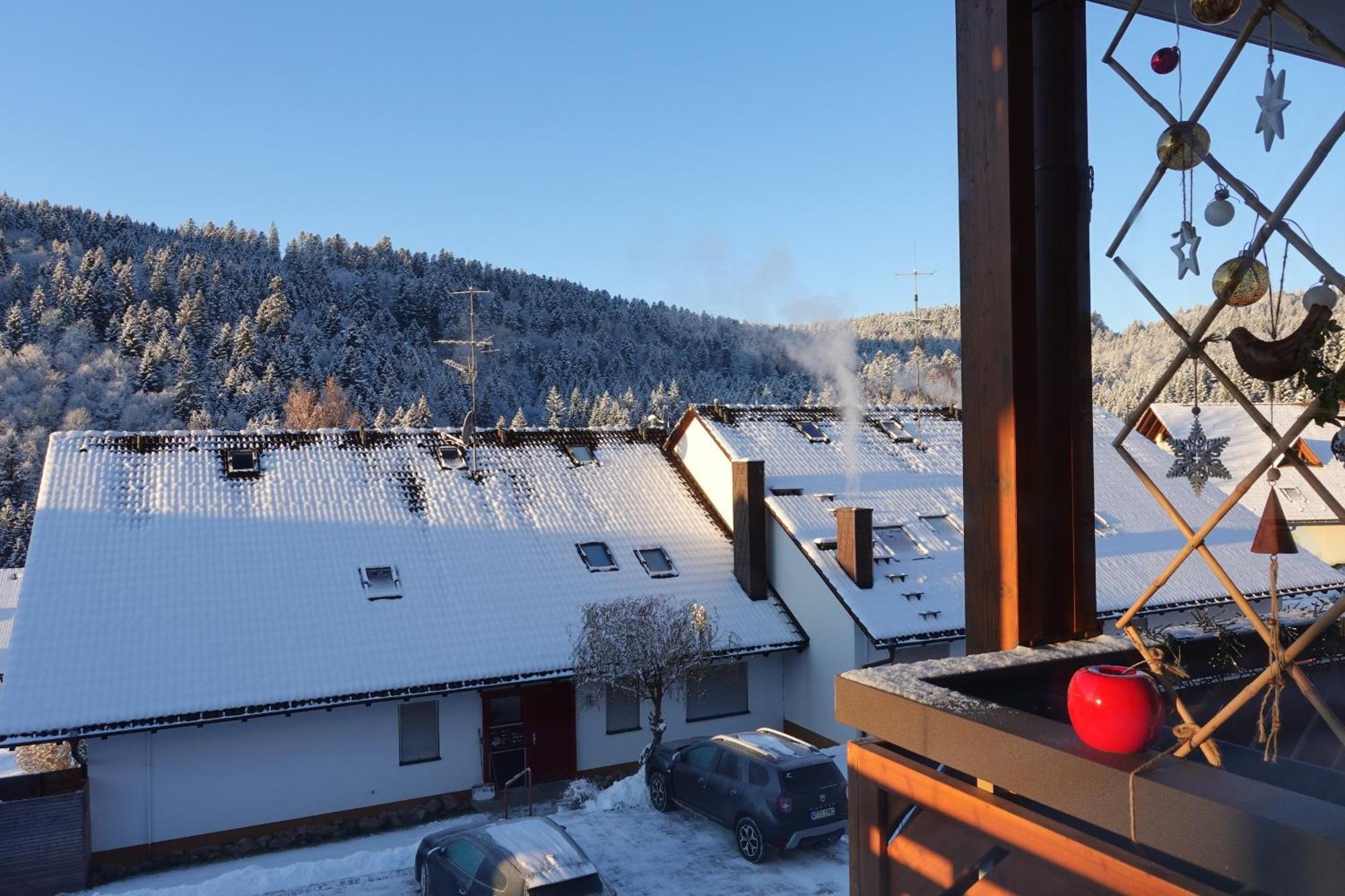 Apartments Amalia - Mit Wlan Und Sky In Traumhafter Lage Todtmoos Rum bild