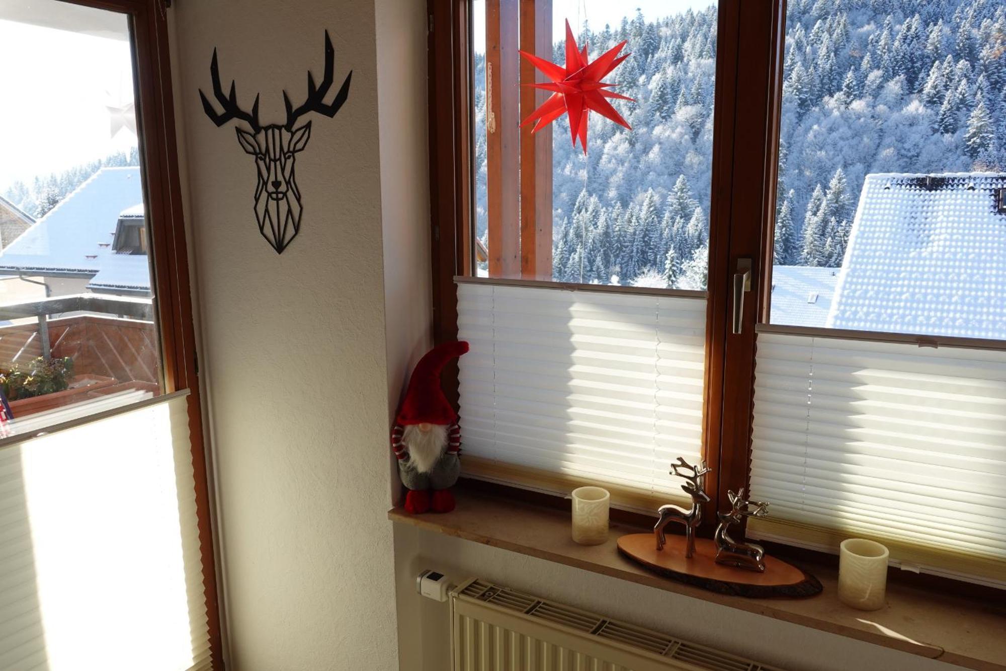 Apartments Amalia - Mit Wlan Und Sky In Traumhafter Lage Todtmoos Rum bild